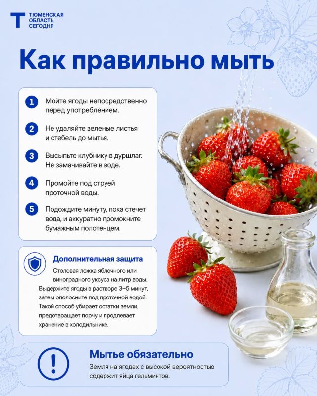 Как выбрать вкусную и спелую клубнику Как выбрать вкусную и спелую клубнику