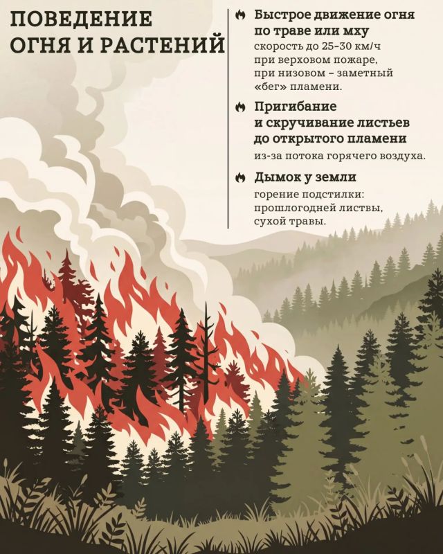 Заметили огонь — не теряйте ни минуты Заметили огонь — не теряйте ни минуты
