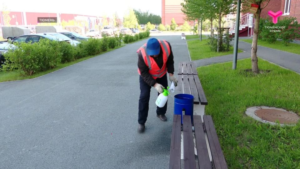 К 1 июня дворы Тюмени должны быть приведены в порядок