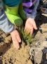 22 мая компания «Сибирское здоровье» совместно с Тобольским лесничеством провели масштабную экологическую акцию «100 Га», объединившую более 50 неравнодушных тоболяков