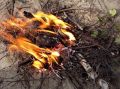 Два лесных пожара ликвидированы в Тюменской области