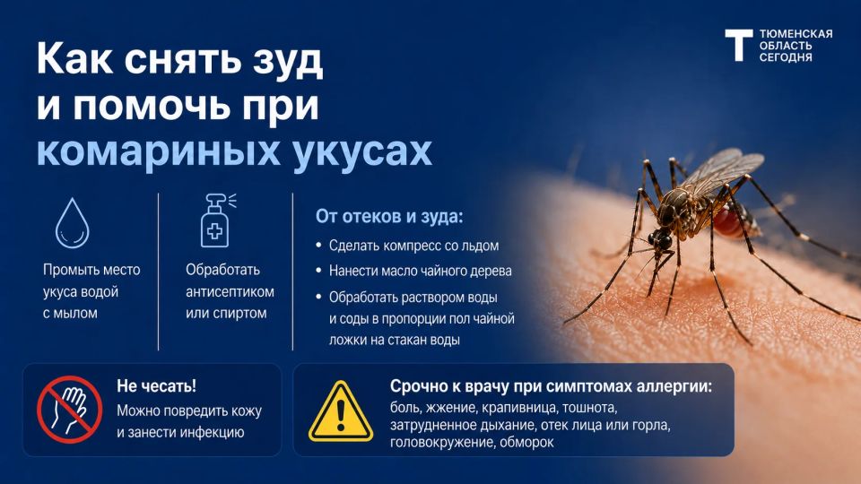 Как защититься от комаров и что делать, если всё же покусали? Как защититься от комаров и что делать, если всё же покусали?