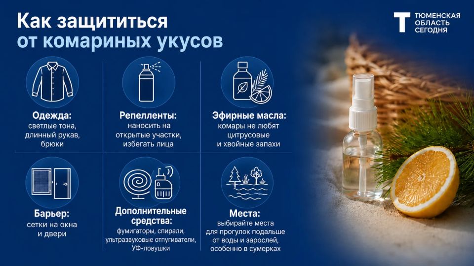 Как защититься от комаров и что делать, если всё же покусали?