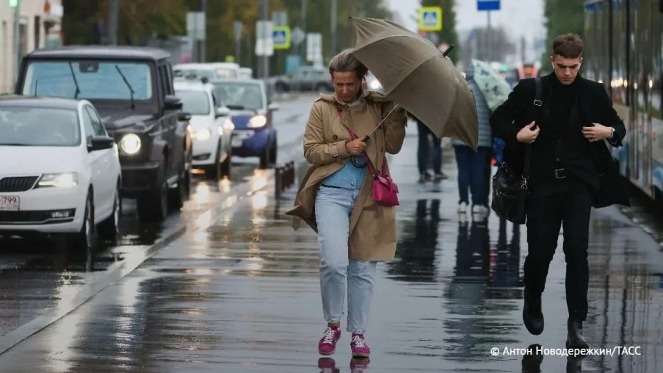 Град, дожди и ветер до 25 м/с прогнозируют в ряде регионов УрФО, сообщили региональных в пресс-службе ГУ МЧС и правительстве
