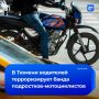 Подростки на питбайках кошмарят водителей и провоцируют аварии в Тюмени
