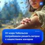 Главу Тобольска попросили убрать из города комаров
