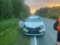 На тюменской трассе машина сбила лося