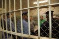 АНОНС!. . 24 июня 2026 года с 15.00 до 17.00 час. первый заместитель прокурора Тюменской области Максим Шилин, Уполномоченный по правам человека в Тюменской области Олег Датских, первый заместитель начальника регионального...