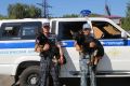 В ближайшее воскресенье, 21 июня, кинологические подразделения в системе МВД России отметят 117-ю годовщину со дня основания службы