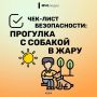 2 июля отмечается Международный день собак