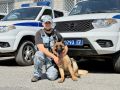 Служебные собаки являются неотъемлемыми помощниками сотрудников полиции