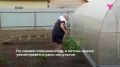 В летнее время увеличивается риск инсультов, констатируют специалисты