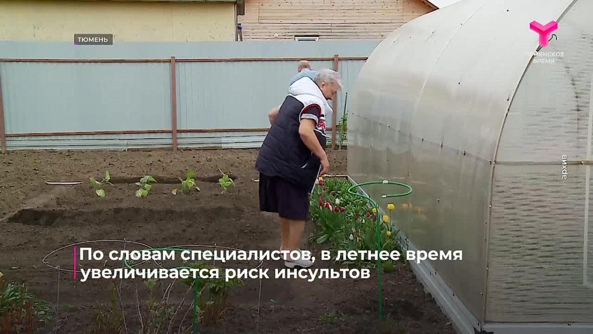 В летнее время увеличивается риск инсультов, констатируют специалисты
