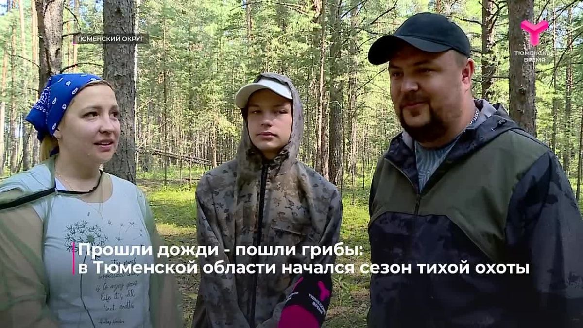 В лесах Тюменской области появились первые летние грибы