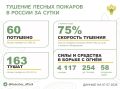 За прошедшие сутки в 14 регионах России потушили 60 лесных пожаров