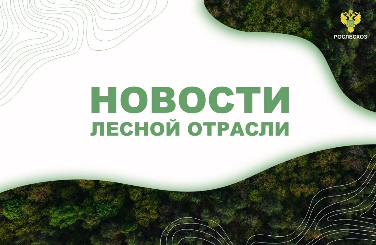 ИА ЯСИА: В Якутии за сутки ликвидировали 11 лесных пожаров