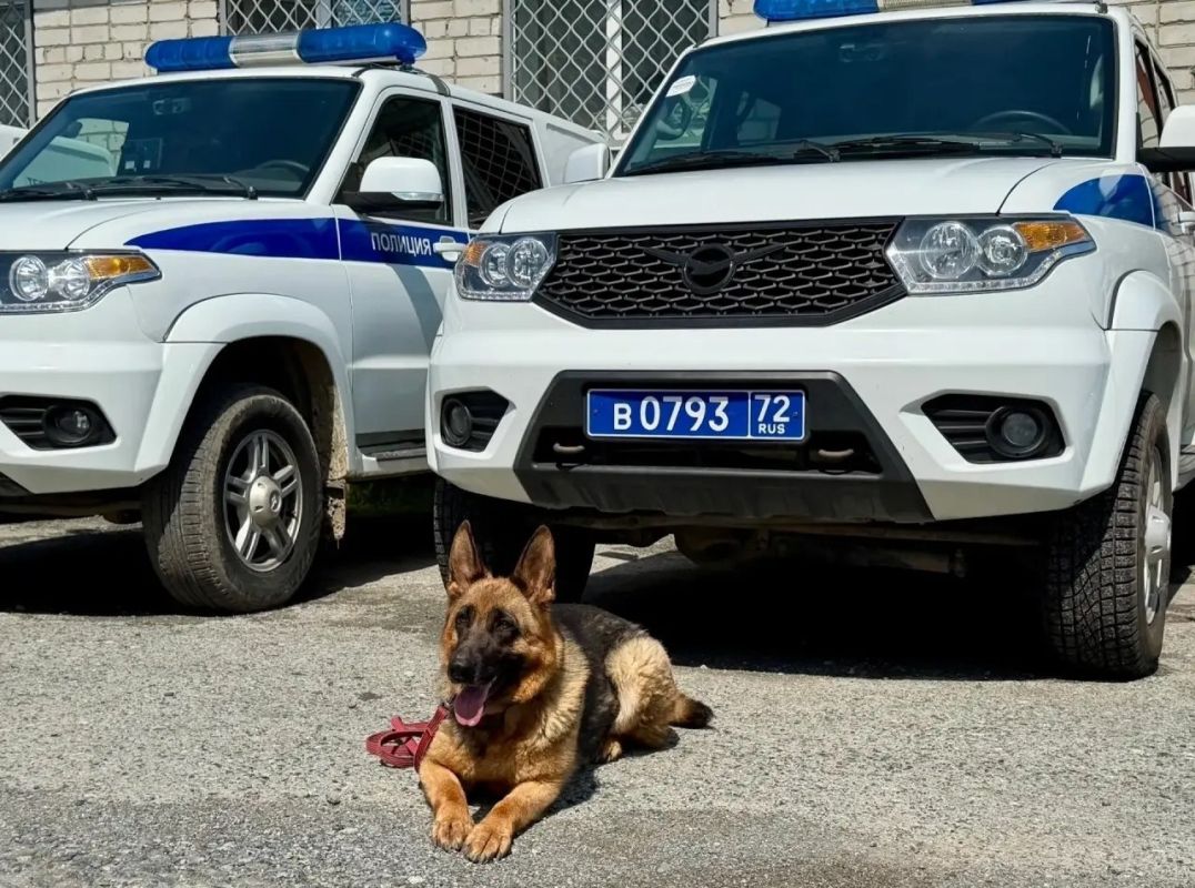 Хвостатые помощники тюменских правоохранителей Хвостатые помощники тюменских правоохранителей