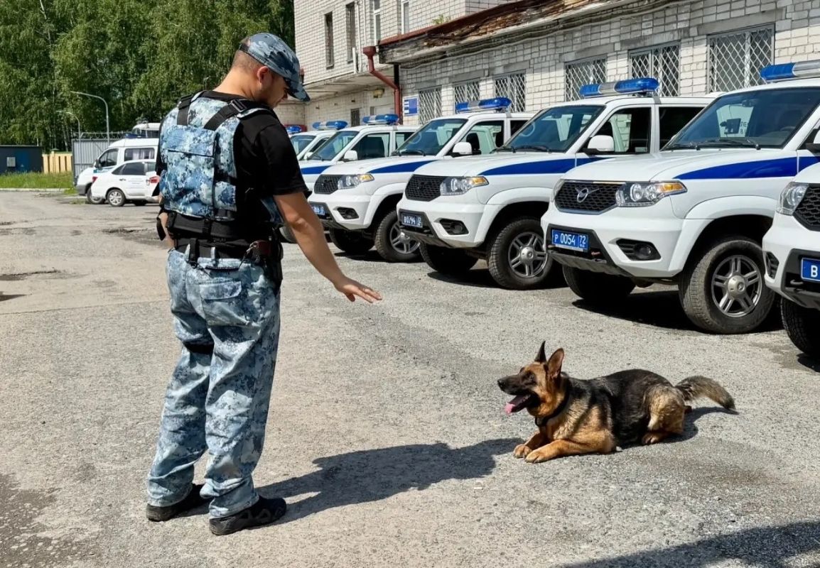 Хвостатые помощники тюменских правоохранителей Хвостатые помощники тюменских правоохранителей