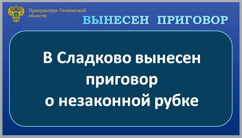 С учетом позиции государственного обвинителя Сладковский районный суд вынес приговор по уголовному делу и признал 31-летнего жителя деревни Большой Куртал виновным по ч. 3 ст. 260 УК РФ (незаконная рубка лесных насаждений в...
