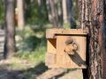 «Комарово парк» почти готов к открытию