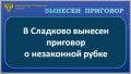 С учетом позиции государственного обвинителя Сладковский районный суд вынес приговор по уголовному делу и признал 31-летнего жителя деревни Большой Куртал виновным по ч. 3 ст. 260 УК РФ (незаконная рубка лесных насаждений в...