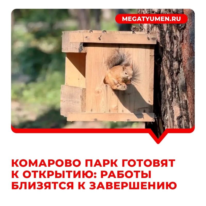 На 95% завершено благоустройство "Комарово парка"