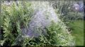 ������� ��������� ����: ������ �� ����� �� ���������� ��� ���������� ���������