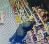02В полицию Голышмановского муниципального округа обратилась сотрудница магазина и сообщила, что из торговой точки похищены различные товары на сумму более пяти тысяч рублей