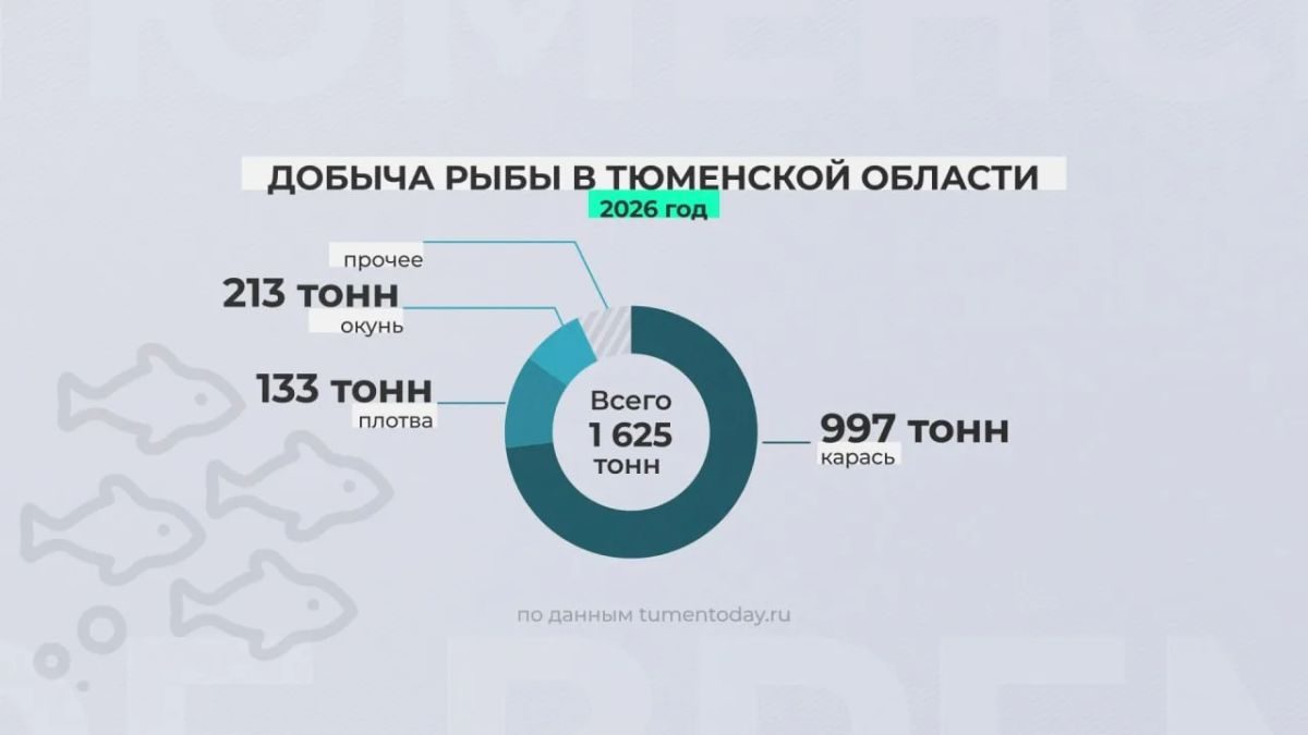 Россияне стали реже покупать рыбу Россияне стали реже покупать рыбу