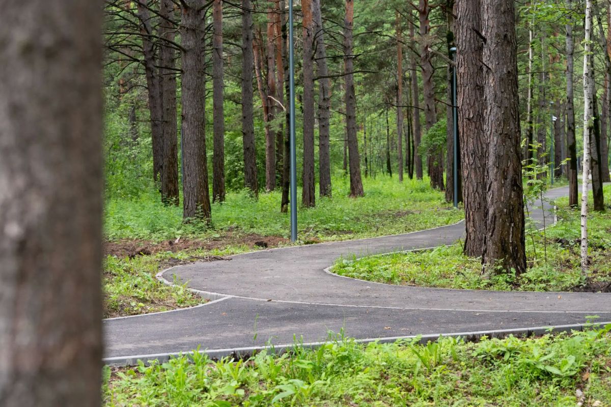 Интерес жителей к новой городской локации - «Комарово парку» растёт! Мы подготовили краткую информацию о территории, чтобы вы знали о парке всё! Интерес жителей к новой городской локации - «Комарово парку» растёт! Мы подготовили краткую информацию о территории, чтобы вы знали о парке всё!