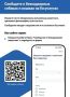 Увидели бездомного питомца? Сообщить можно онлайн