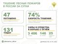 �� ��������� ����� � 11 �������� ������ �������� 47 ������ �������