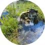Не только в Тюмени наблюдается проблема с рыбой в водоемах — подобными кадрами делятся жители Тугулымского района