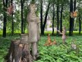 В Тюменском округе стартовал проект, посвященный 190-летию Николая Чукмалдина