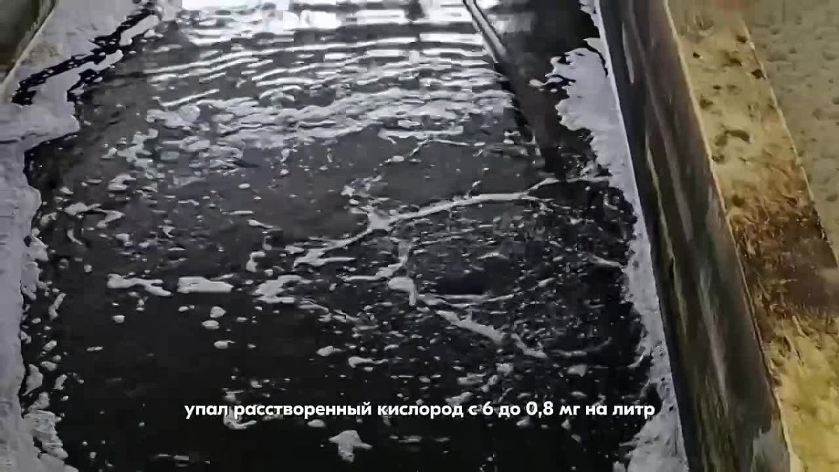 О причинах резкого ухудшения качества исходной воды и усиленном режиме работы Метелёвских водоочистных сооружений рассказывает начальник цеха по водоподготовке «Росводоканал Тюмень» Константин Сливченков