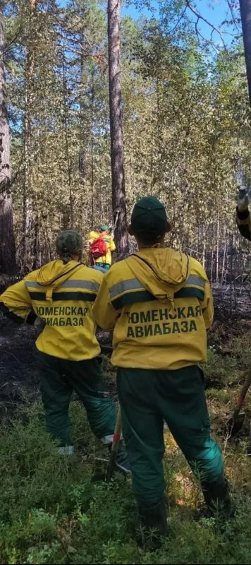Тюменские лесные пожарные помогли справиться с природными возгораниями на Ямале Тюменские лесные пожарные помогли справиться с природными возгораниями на Ямале