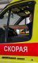 Осиный рой атаковал дачника: мужчину спасли за 15 минут