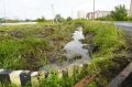 В Тюмени начались подворовые обходы из-за летнего паводка: вода уже подтопила несколько домов