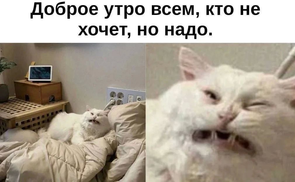 Всех с утром