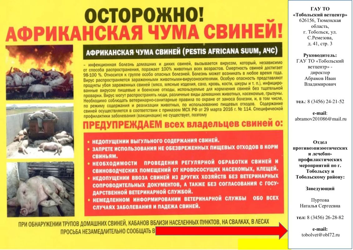 Африканская чума свиней - особо опасное вирусное заболевание домашних и диких свиней Африканская чума свиней - особо опасное вирусное заболевание домашних и диких свиней