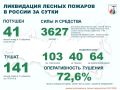 За прошедшие сутки в России потушен 41 лесной пожар в 11 регионах