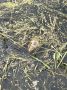Обстановка на тюменских водоемах…