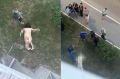 В Тюмени накануне вечером из окна дома № 213 на улице Широтной выпала и разбилась насмерть девушка