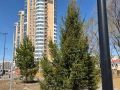 Семь городов стали лидерами национального рейтинга качества жизни