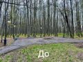 В Тобольске открыли обновлённую Липовую рощу