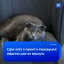 ��������� ���� ���� �� ���������� � ������� ������� �� ����� ���� ���