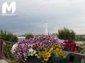 ������������, ���� ������� � ��� ���������� �� �������� 1-2 ������� � ������ 2026
