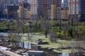 В Тюменской области увеличилось количество подтопленных домов и дач