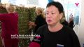 Тюменские волонтёры отправили в зону спецоперации 7 маскировочных сетей