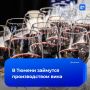 В Тюмени начнут производить вино